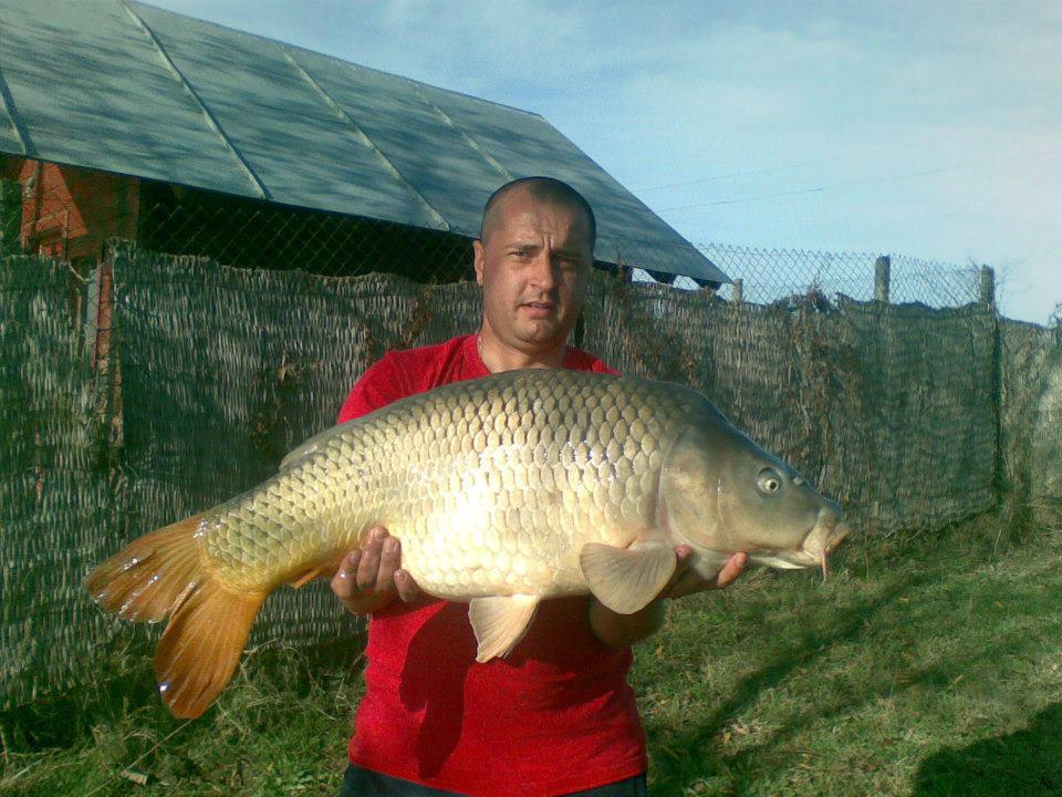 CONCURS LIKE-URI  - VOT PE FACEBOOK  - Claudiu Marian 